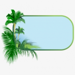 Coconut Leaf Tree Texture Arecaceae Green Border Clipart ...