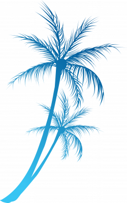 Arecaceae Royalty-free Clip art - Great cartoon coconut tree branch ...