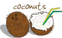Free Coconuts Clipart Image 0515-0906-0702-1230 | Food Clipart