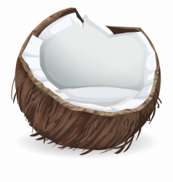 Coconut Clipart Broken - Coconut Sticker Free PNG Images ...