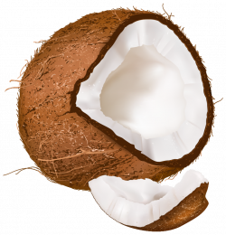 Open Coconut PNG Clipart Image | Gallery Yopriceville - High ...