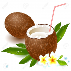 coco milk : coconut milk and a | Clipart Panda - Free ...