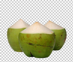 Nata De Coco Coconut Water Fruit PNG, Clipart, Background ...