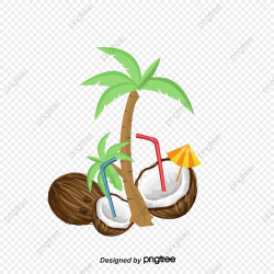 Coconut Palm, Coco, Coconuts, Material PNG Transparent ...