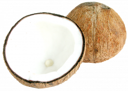 Two Half Coconuts PNG image - PngPix