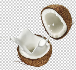 Coconut Milk Coconut Water Soy Milk PNG, Clipart, Coconut ...