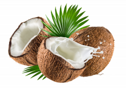 Download Coconut Oil De Water Coco Nata Milk Clipart PNG ...