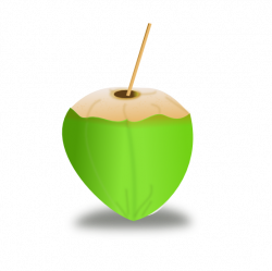 clipartist.net » Clip Art » food coconut icon coconut icon SVG