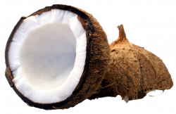 Coconut cut in half PNG Image - PurePNG | Free transparent CC0 PNG ...