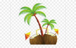 Coconut Clipart Hawaii Coconut - Coconut Tree Clipart Png ...