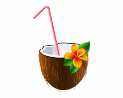 Coconut Drink Png - Hawaiian Coconut Clipart Free PNG Images ...