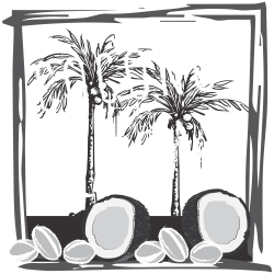 Coconut-to-Almond - What's on the Shelf - TasteBuds Network