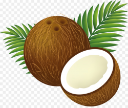 Palm Trees clipart - Coconut, Illustration, Food ...