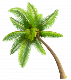 Cp Paurb: Free Clipart Picture… Trees PNG Clipart Green Palm Tree PNG