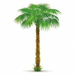 Arecaceae Tree Areca palm Clip art - Creative coconut trees 1181 ...