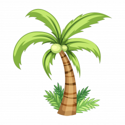 Coconut Drawing Clip art - Palm tree hand painted download 2222*2222 ...