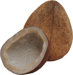 Nirav Dry Coconut (Whole) - 1 pc