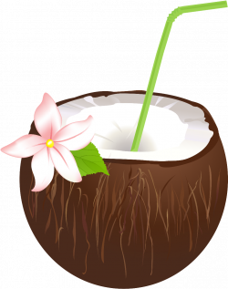 drink #drinks #cocktails #coconut #flower #summer - Coconut ...