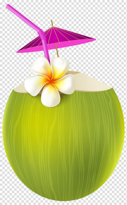 Green coconut juice illustration, Ice cream Cocktail Juice ...