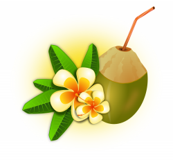 File:Coconut-cocktail.svg - Wikimedia Commons