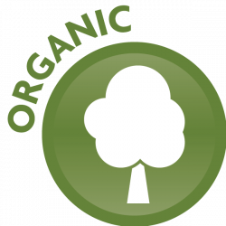 Organic Liquid Coconut Oil (473ml)