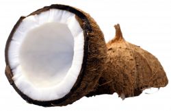 coconut cut in half png - Free PNG Images | TOPpng
