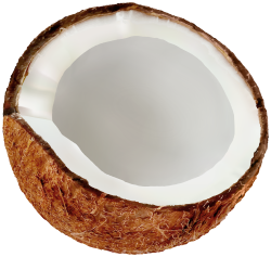 Half Coconut PNG Clipart | Gallery Yopriceville - High ...