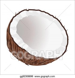 Vector Art - Half of coconut. tropical nut isolated ...