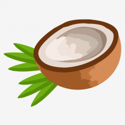 Half Coconut Illustration, Leaves, Plants, Travel PNG ...
