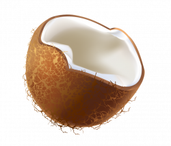 Coconut Hazelnut Clip art - Half a coconut 992*850 transprent Png ...
