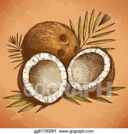 Vector Art - Engraving illustration of coconut . Clipart ...