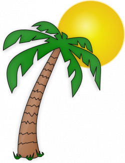 Coconut tree beach coconut palm tree clipart kid 2 - ClipartBarn