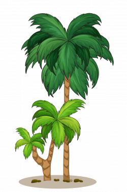 Coconut Arecaceae Tree Illustration - coconut tree 1213*1836 ...