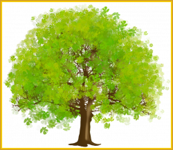 Inspiring Large Green Tree Png Clipart Illustrations For Coconut ...