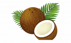 Coconut Clipart Luau - Coconut Drawing, Transparent Png ...