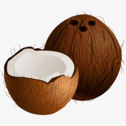 Free Coconut Clipart Cliparts, Silhouettes, Cartoons Free ...