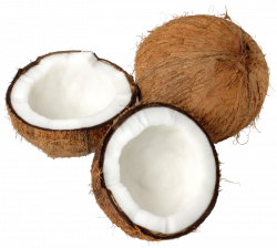 Free Coconut Clipart Images Black And White Photos【2018】