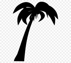 Coconut Leaf Drawing clipart - Coconut, Drawing, Tree ...
