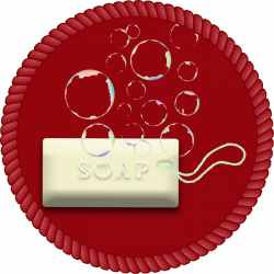 SCAM ALERT #1: Why I Think SoapCoin Is A Scam – My Honest Review ...