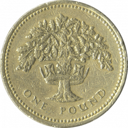 One Pound Coin transparent PNG - StickPNG
