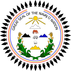 NAVAJO | INDIANS FLAGS | Pinterest | Navajo, Native american indians ...