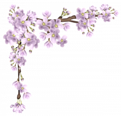 Pink Spring Branch PNG Picture | Card ideas & accessories ...