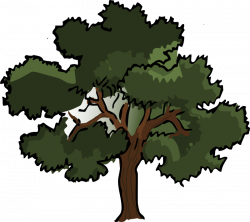 Tree Clipart Animated#4009221