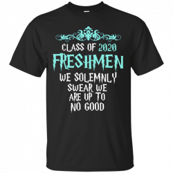 Class of 2020 Freshmen We Solemnly Swear We Are Up to No Good Cotton ...