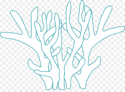 Book Black And White clipart - Color, Fish, White ...