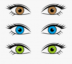 Eye Color Retina Iris - Brown And Blue Eyes Png ...
