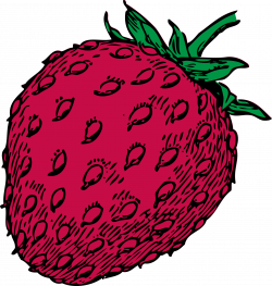 Clipart - strawberry - color