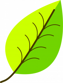 Clipart - Two colour leaf vectorized