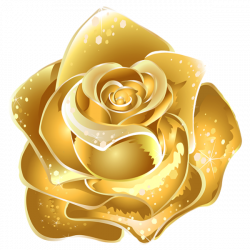 gold rose decor png clipart color gold clip art gold rose ...