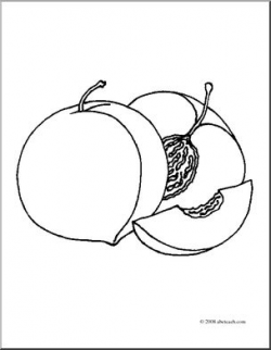 Clip Art: Fruit: Realistic Peaches (coloring page) I ...
